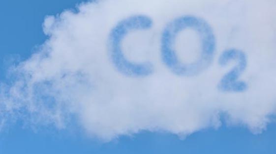 Umbraco.Web.PublishedCache.XmlPublishedCache.PublishedMediaCache+DictionaryPublishedContent?.Name